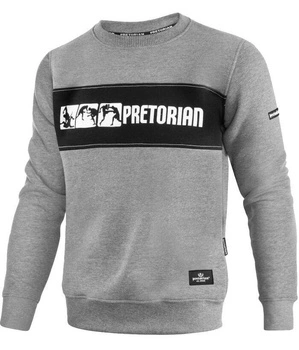 Bluza PRETORIAN FIGHT DIVISION prosta szara