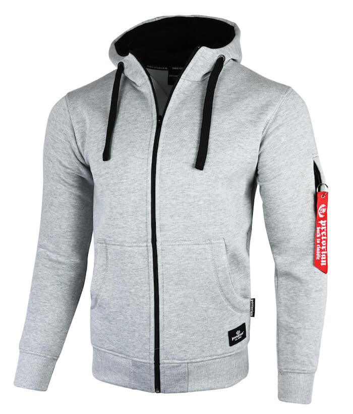 Bluza PRETORIAN AIR szara rozpinana szary | Men's \ Sweatshirts ...