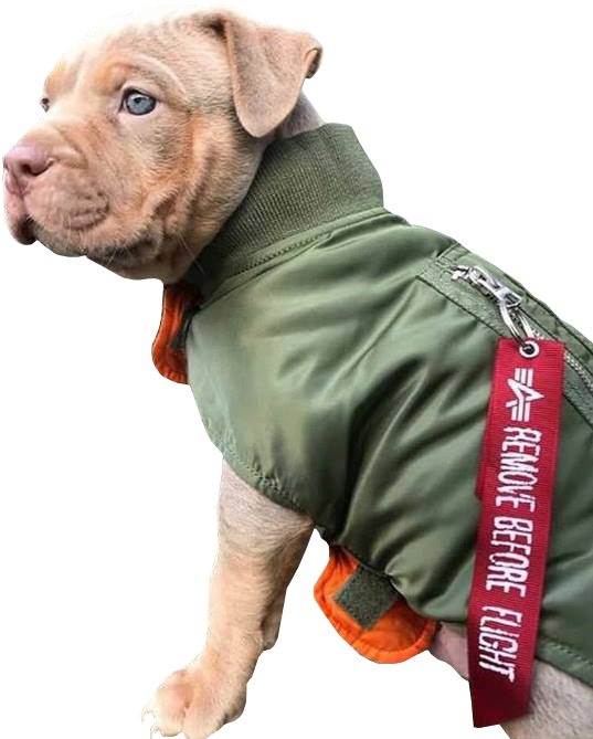 SKLEP TMK - odzież uliczna i sportowa w najlepszych cenach!