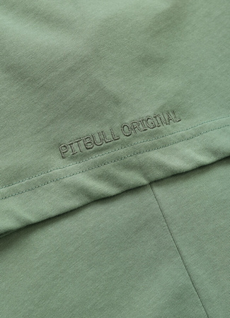 T-shirt PIT BULL Loose Fit GRAFFITI washed green
