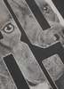 T-shirt PIT BULL EIGHTY NINE DOG grafitowy