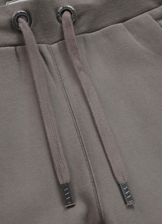 Spodnie sportowe PIT BULL SMALL LOGO HD taupe