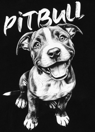 Damska bluza PIT BULL PUPPY 2 WMN czarna kaptur