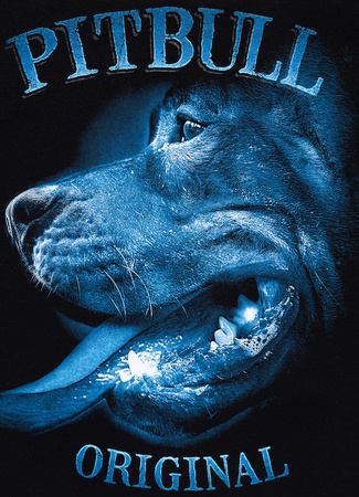 Bluza PIT BULL MIDNIGHT czarna kaptur