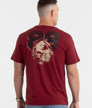 T-shirt PIT BULL DOG 89 bordowy