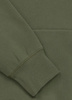 Bluza PIT BULL SMALL LOGO oliwkowa (olive) kaptur