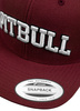 Czapka PIT BULL SNAPBACK PITBULL bordowa