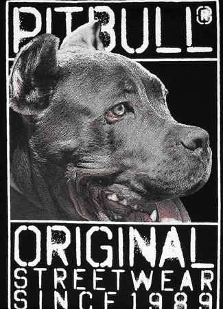 T-shirt PIT BULL ORIGIN czarny