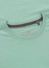 T-shirt PIT BULL  PLANET SURF light mint