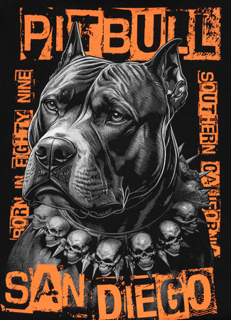 Bluza PIT BULL  BLACKY czarna kaptur