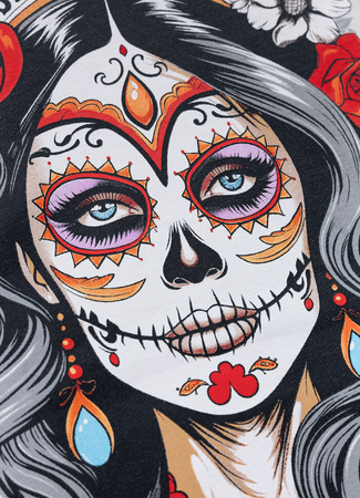 Damska bluza PIT BULL Washed LOVIA SANTA MUERTE WMN white stone rozpinana