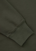 Bluza PIT BULL Tricot Terry TROUBLEMAKER zielona (old green) prosta