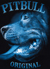 Bluza PIT BULL MIDNIGHT czarna prosta