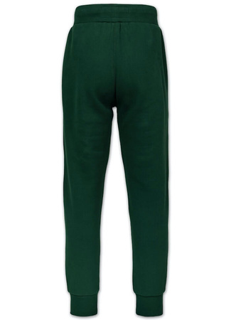 Spodnie sportowe PIT BULL SMALL LOGO HD hunter green
