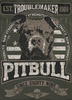 Bluza PIT BULL Tricot Terry TROUBLEMAKER zielona (old green) prosta