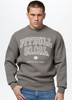 Bluza PIT BULL SO CAL taupe prosta