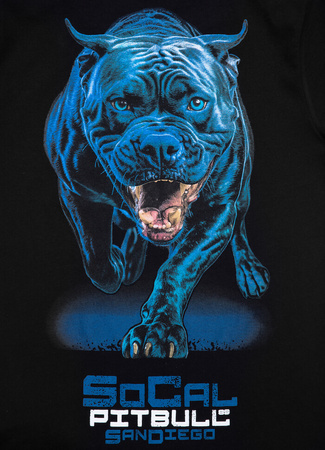 T-shirt damski PIT BULL  IN BLUE WMN czarny