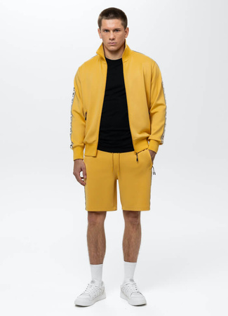 Bluza PIT BULL OLDSCHOOL POWERS żółta (pale yellow) stójka