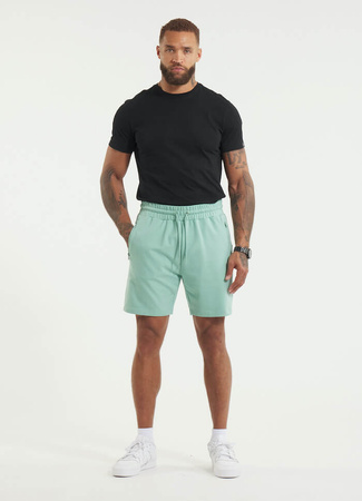 Spodenki PIT BULL Tricot Terry NUGGET miętowe (light mint)
