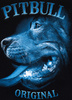 Bluza PIT BULL MIDNIGHT czarna kaptur