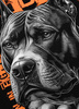 Bluza PIT BULL BLACKY czarna prosta