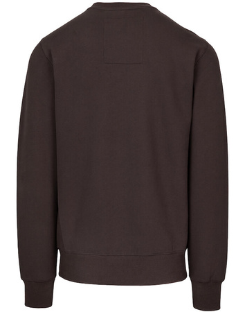 Bluza PIT BULL SMALL LOGO dark chocolate prosta