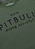 T-shirt PIT BULL MT.FUJI sage green