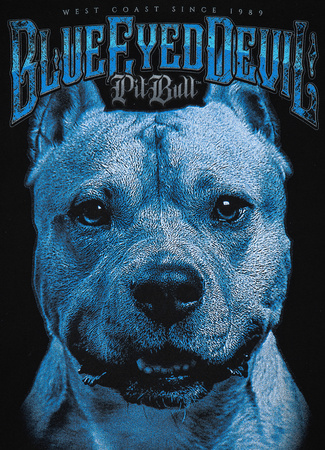 Bluza PIT BULL I AM BLUE czarna prosta