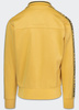 Bluza PIT BULL OLDSCHOOL TAPE LOGO TERRY pale yellow stójka