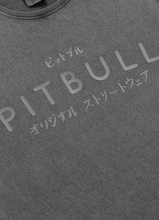 T-shirt PIT BULL Denim Washed MT.FUJI washed grey