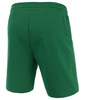 Spodenki PIT BULL TRICOT CARSON zielone (leaf green)