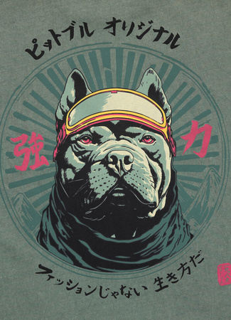 T-shirt PIT BULL Denim Washed MT.FUJI sage green