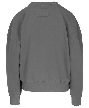 Damska bluza PIT BULL MANZANITA HEART WMN grey prosta