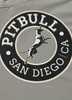 Bluza PIT BULL Tricot Terry SAN DIEGO CA dusty salvia kaptur