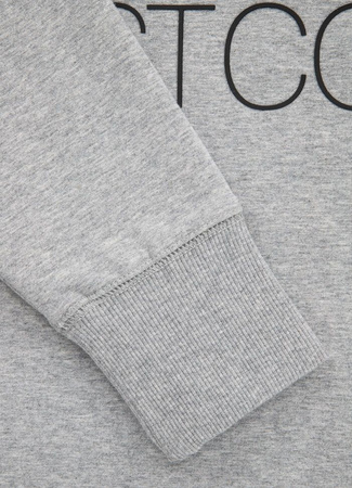 Bluza PIT BULL FRENCH TERRY TNT szara prosta