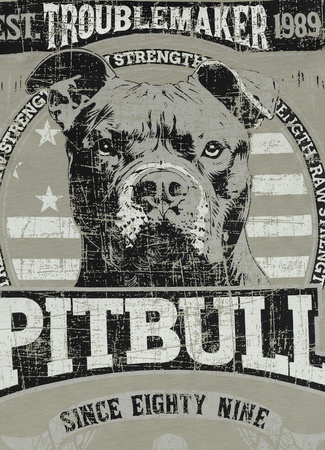 T-shirt PIT BULL TROUBLEMAKER dusty salvia