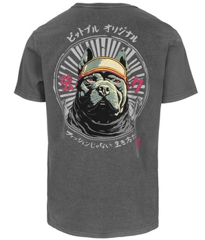 T-shirt PIT BULL Denim Washed MT.FUJI washed grey