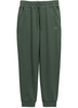 Spodnie sportowe PIT BULL WASHED LANCASTER 2 sage green