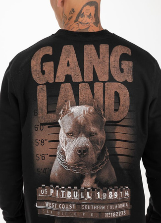 Bluza PIT BULL MUGSHOT czarna prosta