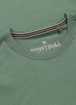 T-shirt PIT BULL SAN DIEGO BORN mint