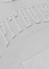 Bluza PIT BULL WASHED ORLANDO white stone kaptur