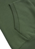 Bluza PIT BULL SMALL LOGO oliwkowa (dark olive) kaptur