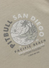 T-shirt PIT BULL  PLANET SURF grey harbour