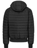 Kurtka PIT BULL NAYLOR HOODED PADDED czarna