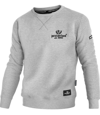 Bluza PRETORIAN EST.2003 prosta szara