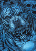 Bluza PIT BULL GUARDIAN ANGEL czarna kaptur