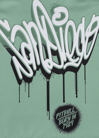 Bluza PIT BULL Tricot Terry GRAFFITI light mint kaptur