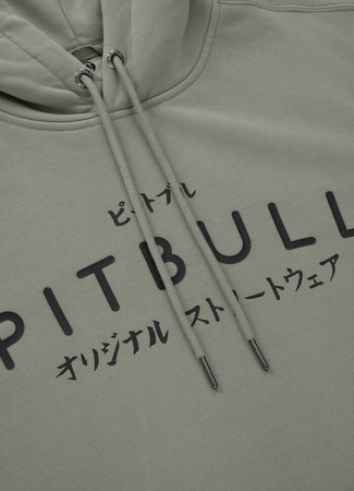 Bluza PIT BULL WASHED MT FUJI grey harbour kaptur