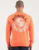 Bluza PIT BULL Tricot Terry DOG SD łososiowa (bright salmon) prosta