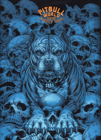 Bluza PIT BULL GUARDIAN ANGIEL czarna prosta
